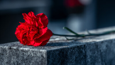 A Lesson in Dying (Part 2 of 4)