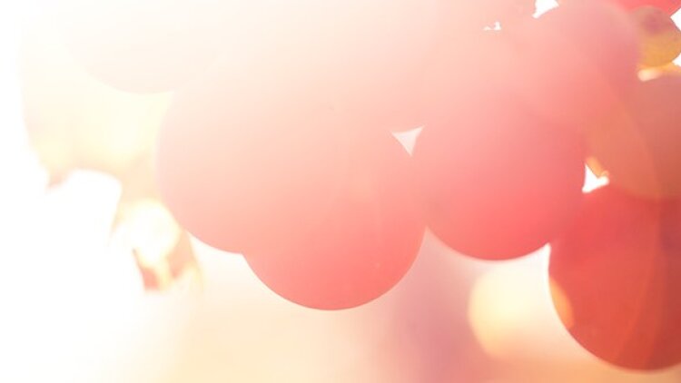 Jesus, the Great Guarantee