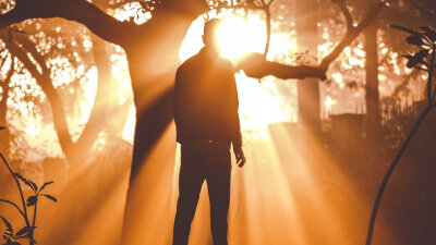 This Dark World’s Light