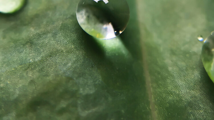 Do We Recognize Him? 