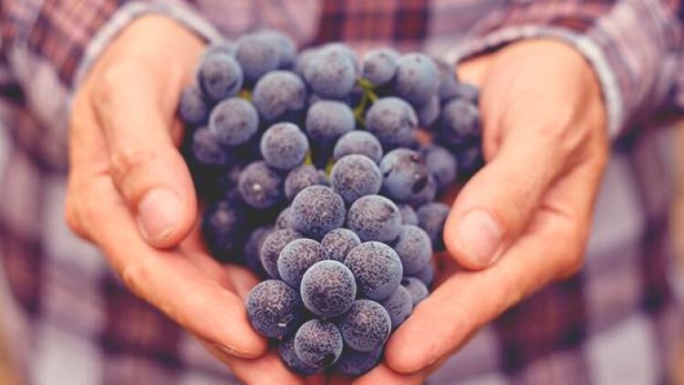 Jesus’ Sweet Voice