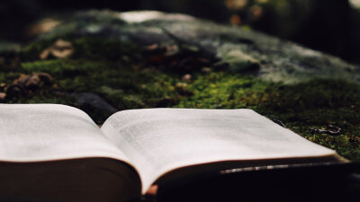 Holy Day or Holiday? (Part 3 of 4)