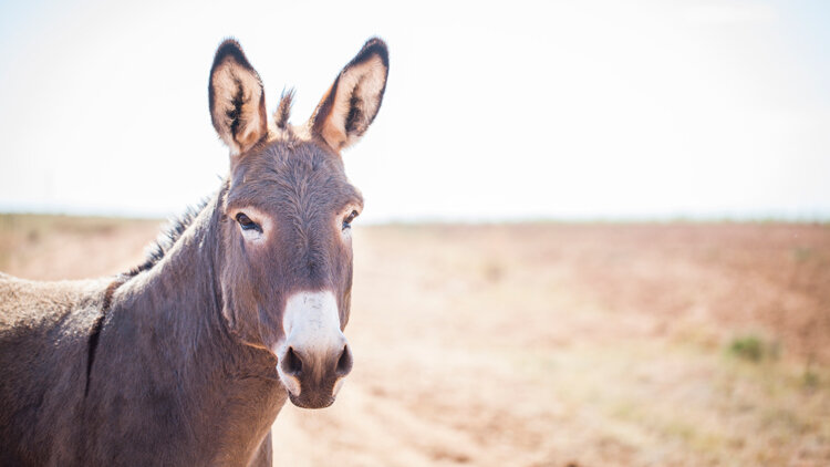 No Exceptions from the Law