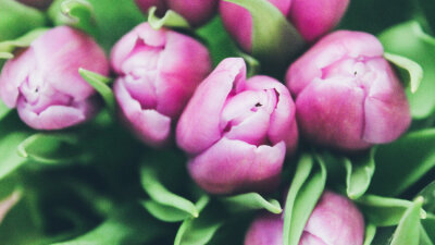 Your Grace, Your Mercy, and Your Peace