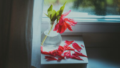 Lessons from the Past (Part 1 of 2)