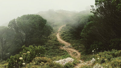 An Ill-Conceived Rebuke (Part 2 of 2)