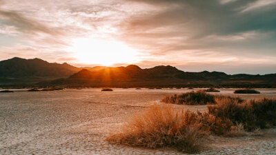 The Coming of the Son of Man (Part 1 of 2)