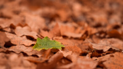 One Body, One Spirit, One Hope (Part 1 of 2)