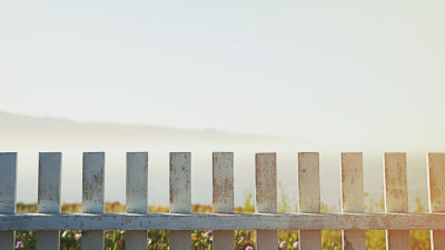 Fights and Quarrels (Part 2 of 2)