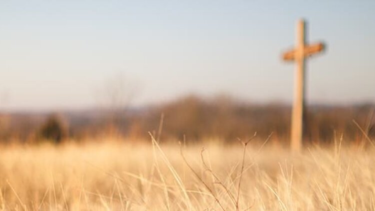 Bring Your Sorrows and Sins 