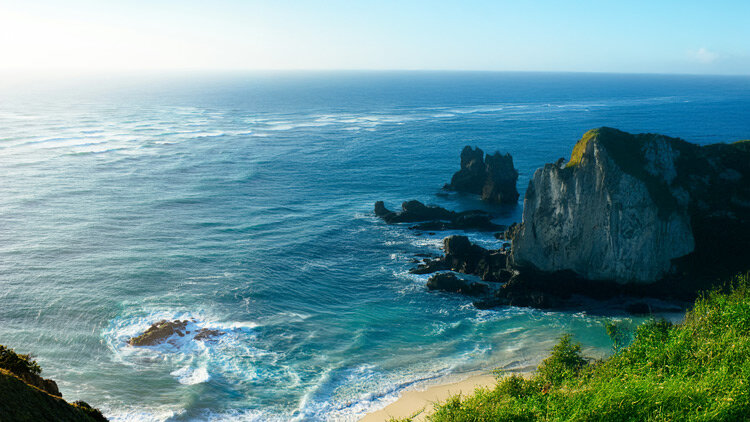 Obedience or Knowledge?