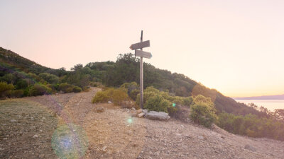 What Is This You Have Done?