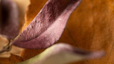 Limitations: The Key to Usefulness