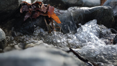 Concerning Worship (Part 2 of 2)