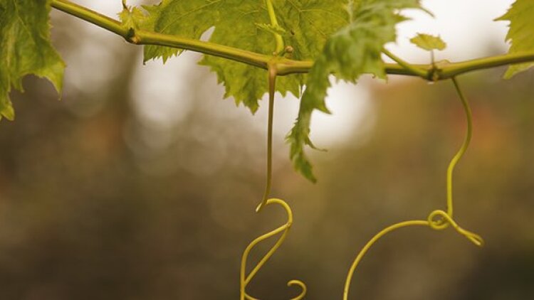 What Are You without Grace?