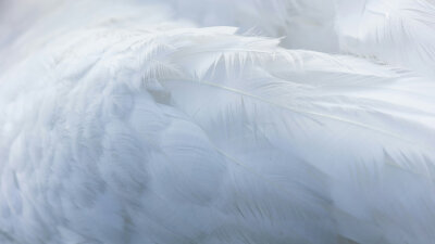 A Man in the Tombs (Part 2 of 2)