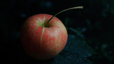 Joseph’s Temptation (Part 1 of 2)