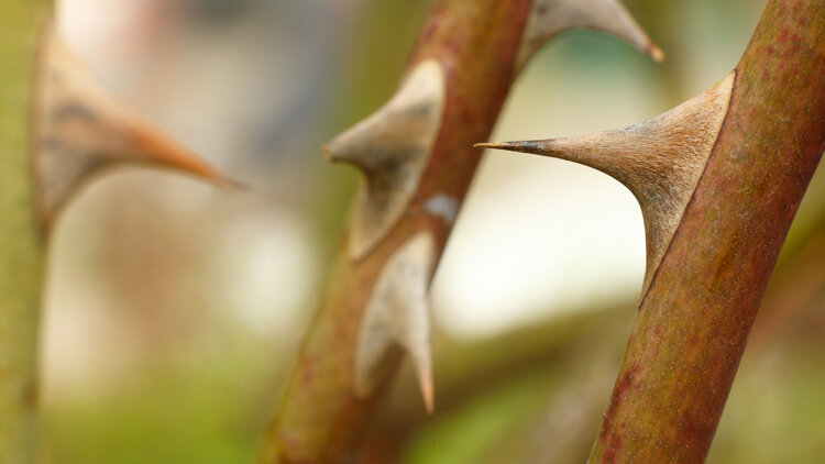 Beware of Temptations