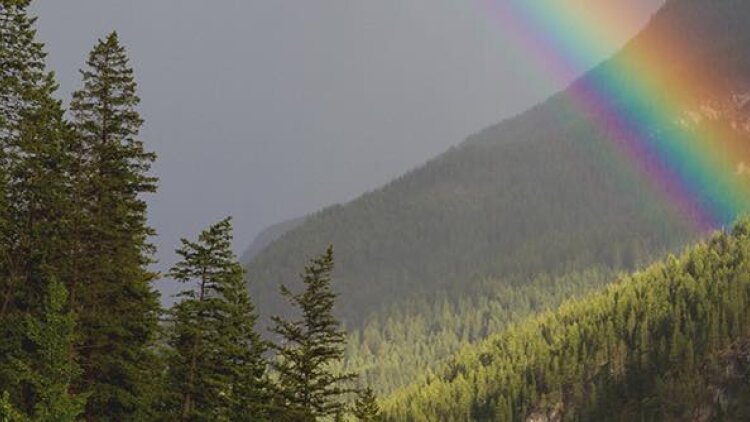 Reflections on a Rainbow