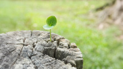 Born Again (Part 2 of 2)