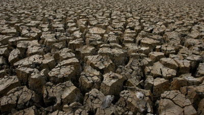 Be On Guard! (Part 2 of 2)