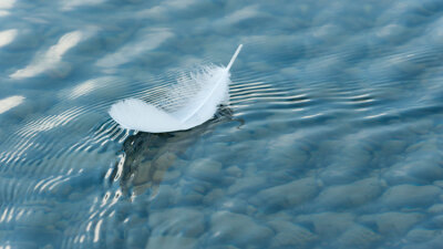 The Power of Weakness (Part 1 of 2)