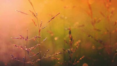 A Christian Manifesto (Part 3 of 3)