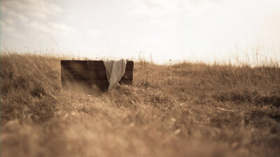 When? What? Why? (Part 2 of 3)