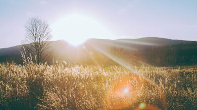 Jesus—Always, Only