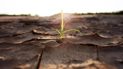 Born Again (Part 1 of 2)