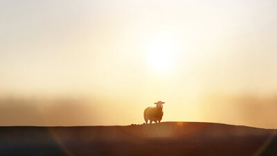 Lamb on the Throne (Part 1 of 2)