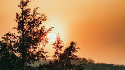 No-Names and God’s Unfolding Plan