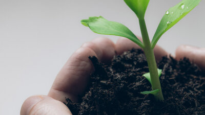 Pastors and Teachers (Part 2 of 2)