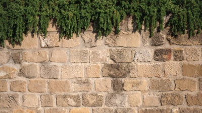 That’s Not Normal! (Part 2 of 2)