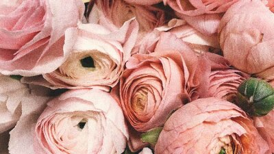 Mysterious Providence