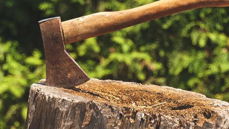 God Makes Impossible Things Possible