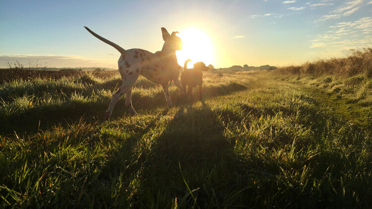 Least Within or Greatest Without