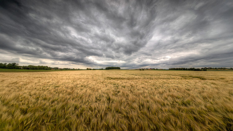 Lessons from the Field 