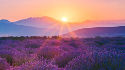 Your Primary Calling: Faithfulness