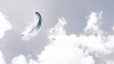 Our Great High Priest