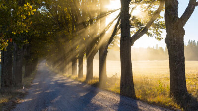 Look to the Creator