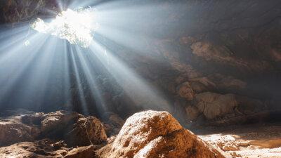 Light in Our Darkness