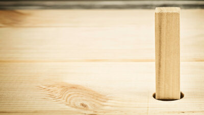 The Privilege of Disgrace