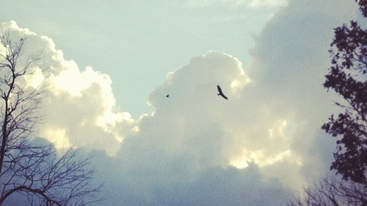 Liberty from Captivity