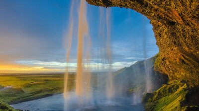 Life Will Flow to All