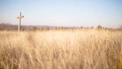 Who Do You Say I Am?