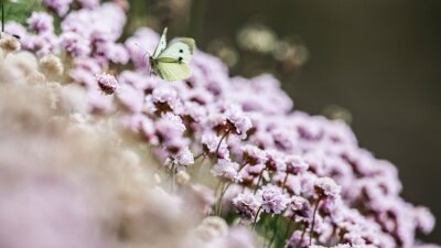 From Sadness to Gladness