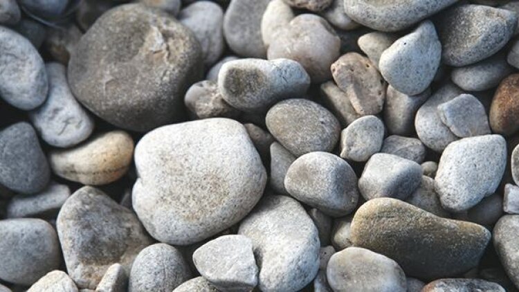 If These Were Silent… 