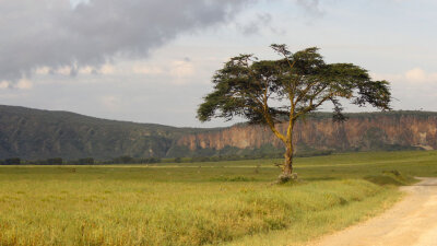 Getting the Big Picture (Part 1 of 2)