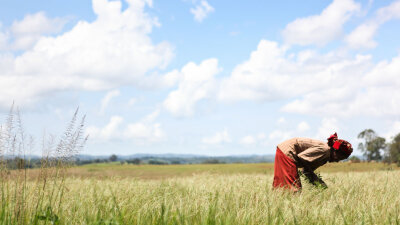 Preaching the Gospel from Ruth (Part 2 of 2)